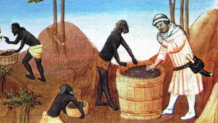 Dal commercio degli schiavi a quello dello zucchero